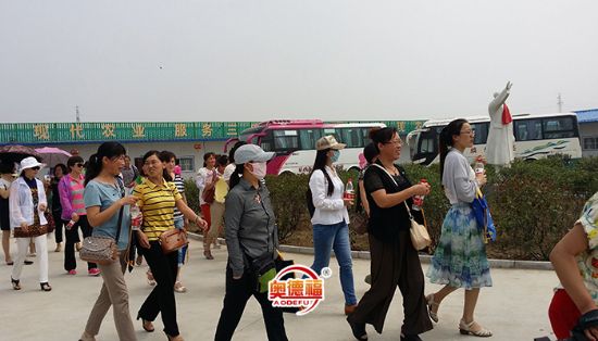 点击查看详细信息<br>标题：县妇联来采摘 阅读次数：6305