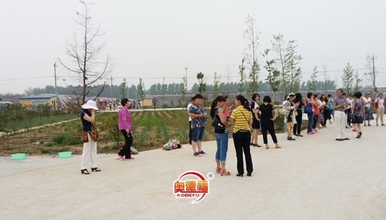 点击查看详细信息<br>标题：县妇联来采摘 阅读次数：6331