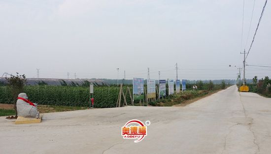 点击查看详细信息<br>标题：德福一角 阅读次数：6407