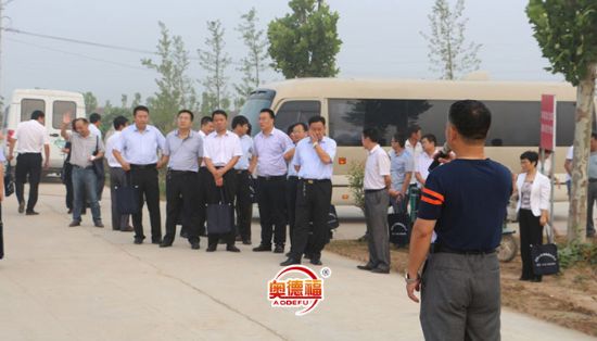 点击查看详细信息<br>标题：市领导来指导工作 阅读次数：6142