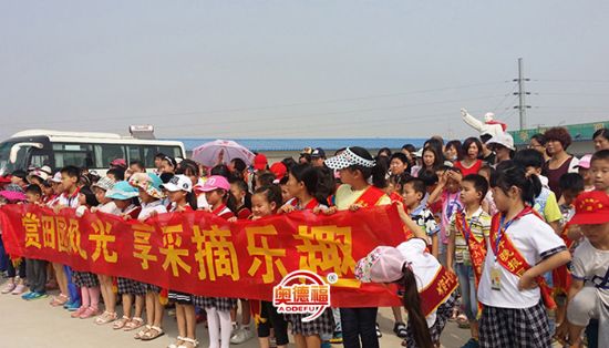 点击查看详细信息<br>标题：采摘团 阅读次数：6393