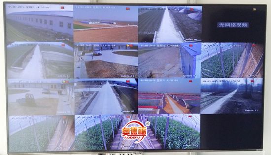 点击查看详细信息<br>标题：农业园一期农业信息标准化 阅读次数：6272
