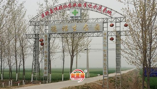 点击查看详细信息<br>标题：生态园 阅读次数：7251