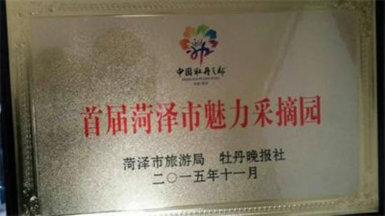 点击查看详细信息<br>标题：【资质荣誉】首届菏泽魅力采摘园 阅读次数：6874